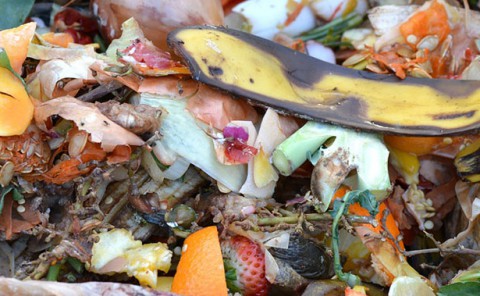 ¿El compost es la clave del futuro de la gestión de residuos?